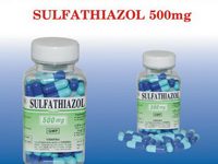 SulfaThiazol 500mg Thuốc SulfaThiazol 500mg - SĐK VNB-1065-03