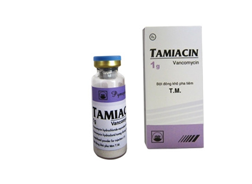 Tamiacin 1g - SĐK VD-23225-15 Thuốc Tamiacin 1g - SĐK VD-23225-15