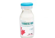 Taxibiotic 1000 Thuốc Taxibiotic 1000 - SĐK VD-19007-13