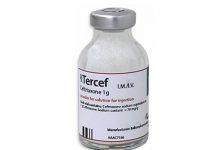 Tercef 1g Thuốc Tercef 1g - SĐK VN-17628-14