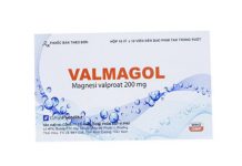 Valmagol Thuốc Valmagol - SĐK VD-15053-11
