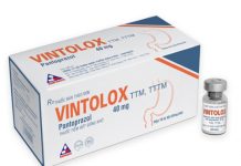 Vintolox Thuốc Vintolox - SĐK VD-18009-12