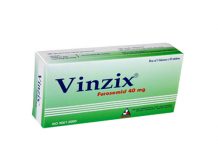 Vinzix 40mg Thuốc Vinzix 40mg - SĐK V60-H12-06