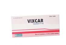 Vixcar Thuốc Vixcar - SĐK VD-14153-11
