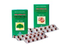 Viên dưỡng não Ginko Biloba Thuốc Viên dưỡng não Ginko Biloba - SĐK V287-H12-10