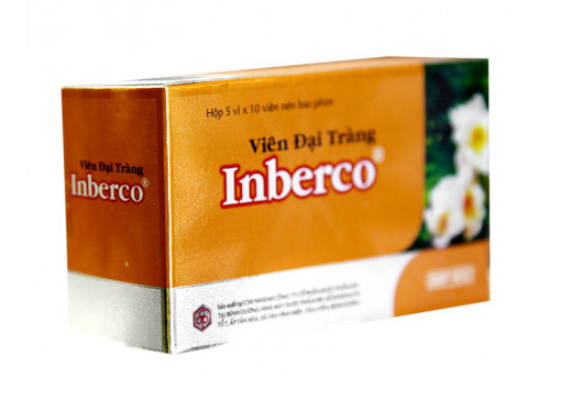 Viên đại tràng Inberco - SĐK VD-26211-17 Thuốc Viên đại tràng Inberco - SĐK VD-26211-17