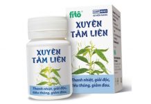 Xuyên tâm liên Thuốc Xuyên tâm liên - SĐK VD-24528-16