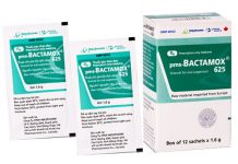 pms – Bactamox 625 Thuốc pms - Bactamox 625 - SĐK VD-20449-14